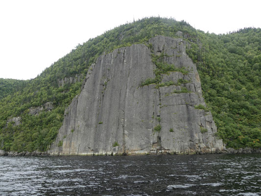 Falaise: ''La toile''.