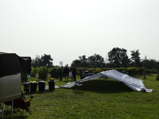 Démontage du chapiteau (On laisse bien sécher la toile au soleil...)
