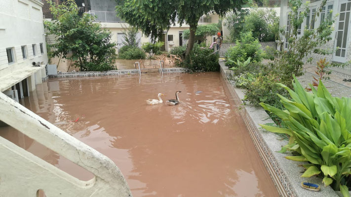 Die Terrasse ist zum Swimmingpool geworden ...