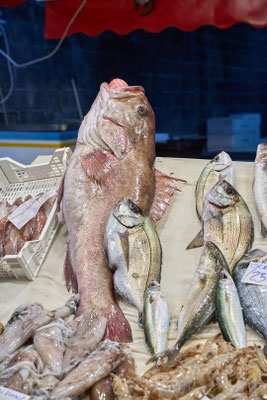 frischer Fisch - lecker!