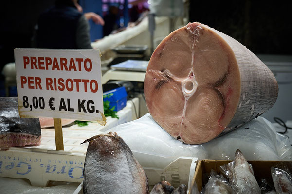 solche Fischstücke sieht man bei uns eher selten ...