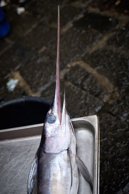 auch Schwertfisch sieht man auf unseren Märkten eher selten