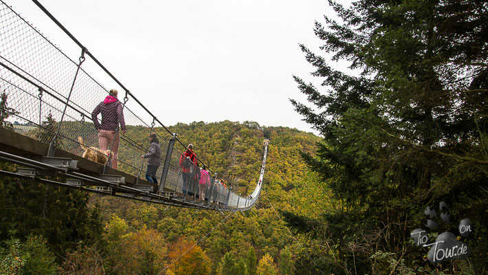 Geierlay im Hunsrück