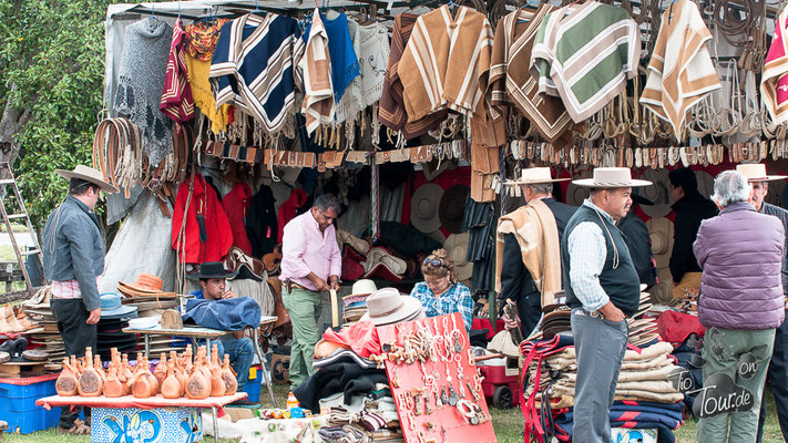 Rodeo in Chonchi