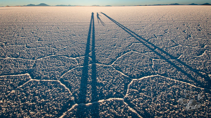 Salar de Uyuni - na, wo springt er denn ??