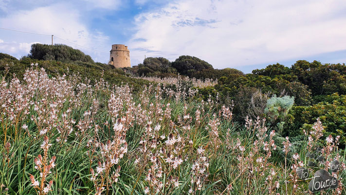 Maladroxia - Wanderung zum Torre