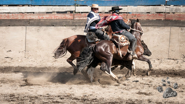 Rodeo in Chonchi