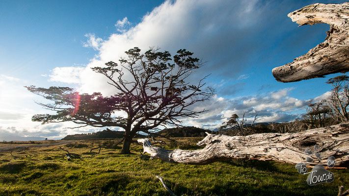 Estancia Harberton