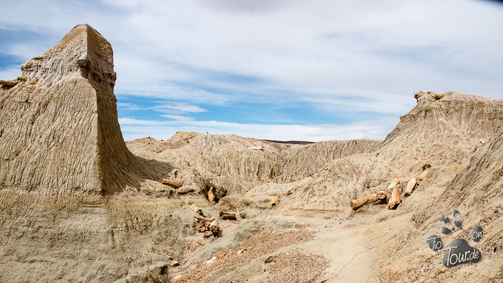 Bosque Petrificado Sarmiento