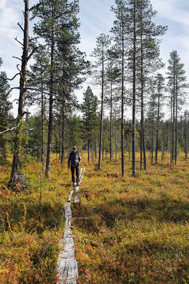 Wandern am Äkäsjoki