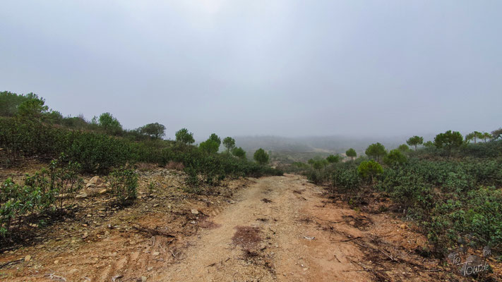 Pereiro - Fahrradtour auf Wanderwegen