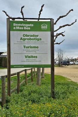 Vilobí d'Onyar