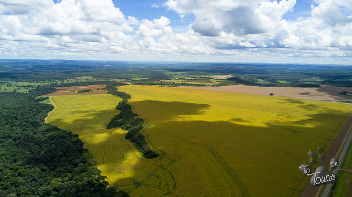 Pantanal - aus Drohnensicht