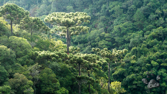 Parque Estadual do Caracol