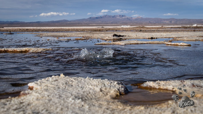 Salar de Uyuni - Ojos - Wasserlöcher