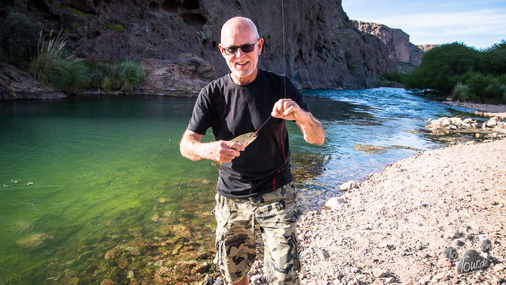 Fliegenfischen am Rio Chubut