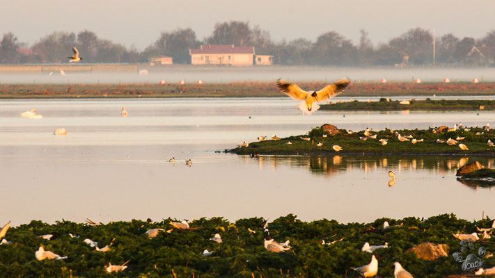 Vogelparadies Varberg