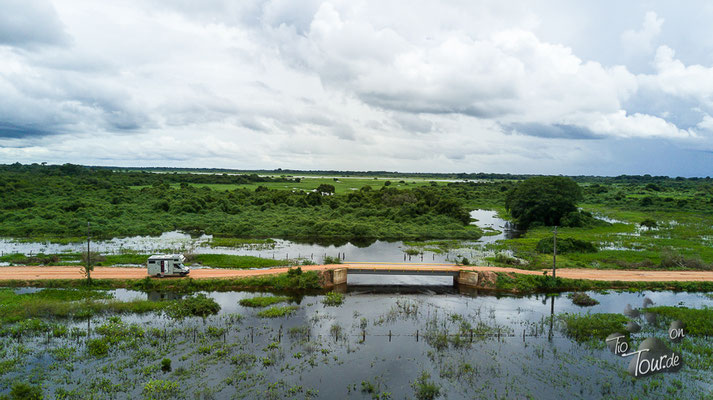 Pantanal - aus Drohnensicht