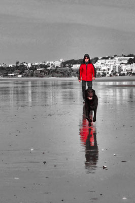 Conil de la Frontera - Traumstrand