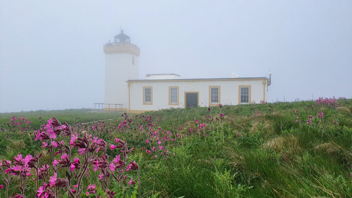 Duncansby Head