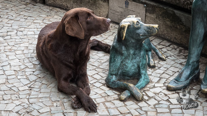 Bekomme ich jetzt auch ein Leckerli ???