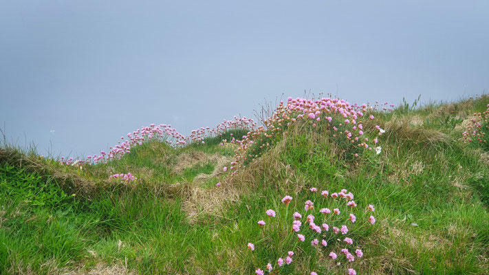 Duncansby Head