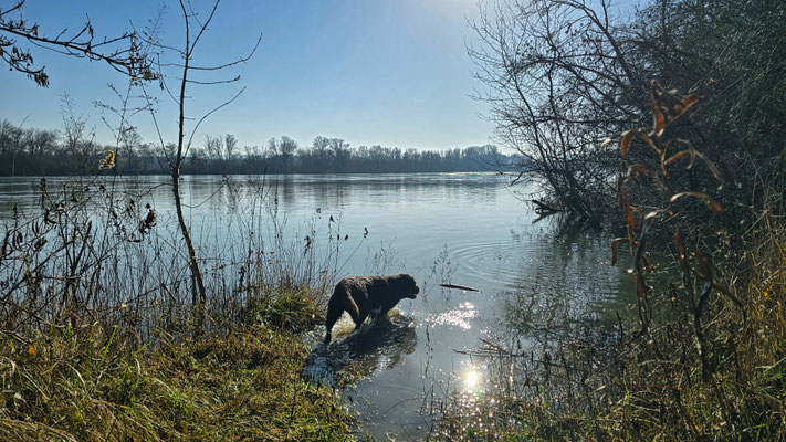 Serrières