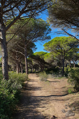 Sendero del Acantilado - der Klippenwanderweg