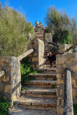 Auf dem Weg nach Puerto Conil