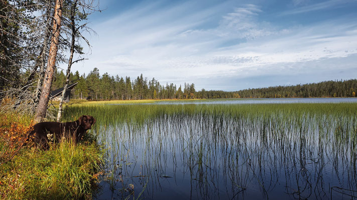 Wandern am Äkäsjoki