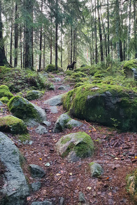 Rysäpuisto Park in Helsinki