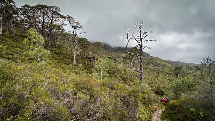 Glas Leitir Trails
