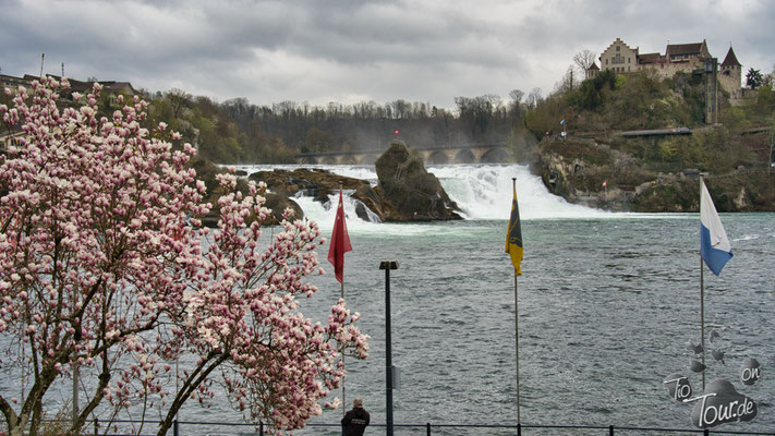 Rheinfall bei Schaffhausen