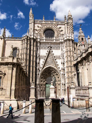 Cathedrale de Santa Maria de la Sede