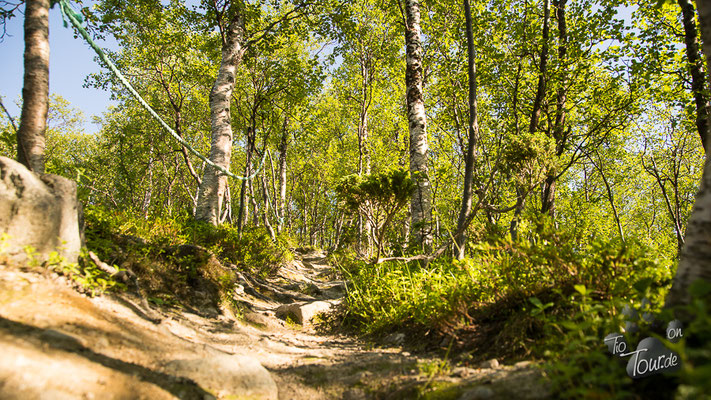 Wanderung zur Bognelv-Quelle