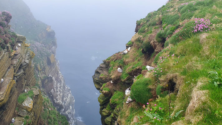 Duncansby Head