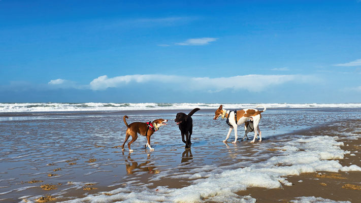 Chiclana Strand