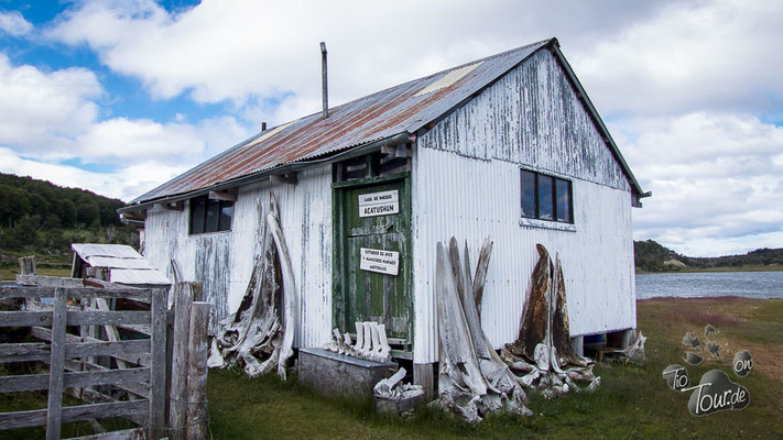 Estancia Harberton - Knochenhaus