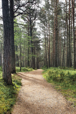 Wanderung von Loch Garten zu Loch Mallachie