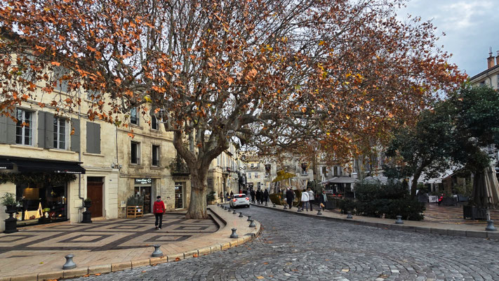 Avignon