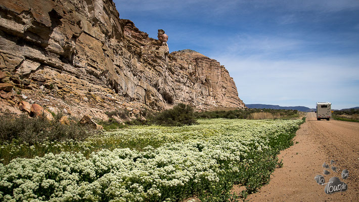 Die naturgewaltige Landschaft an der RP 12