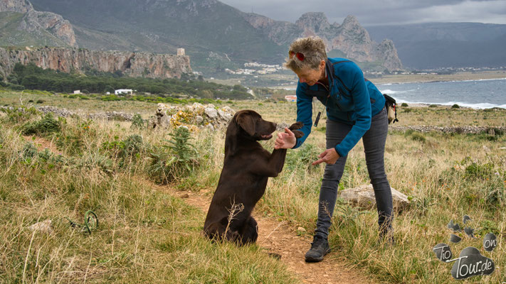 Sizilien - San Vito lo Capo - Übungen mit Frauchen... macht Spaß