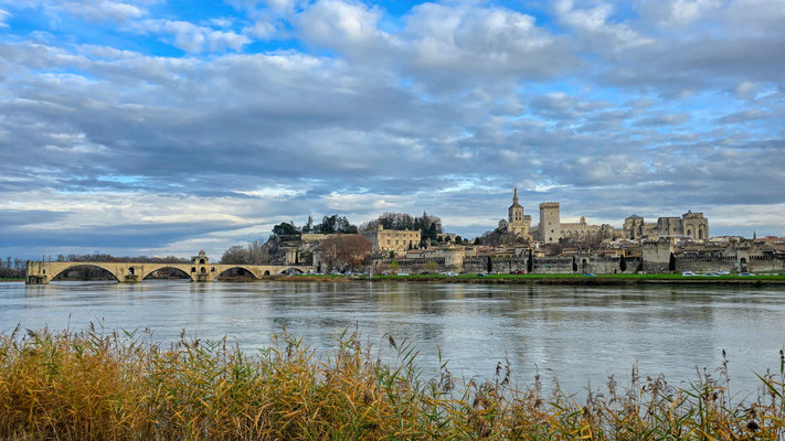 Avignon