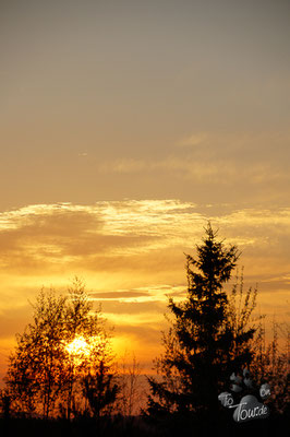 Sonnenuntergang über Falun