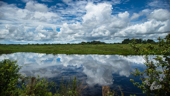 Pantanal - herrliche Spiegelungen