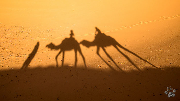 Auf dem Weg zum Sonnenuntergang