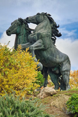 Plaza de Caballos