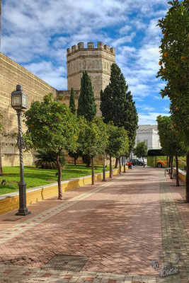 Alcázar de Jerez