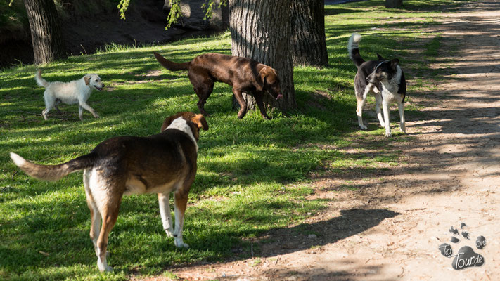 San Antonio del Areco