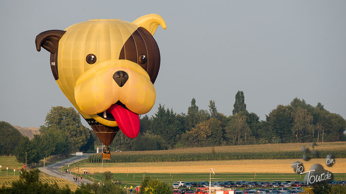 Warsteiner Montgolfiade